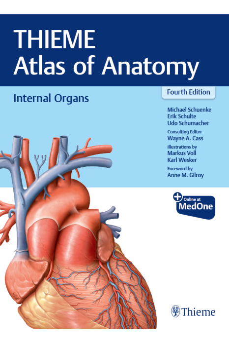 Thieme Atlas of Anatomy: Internal Organs 4th/2025