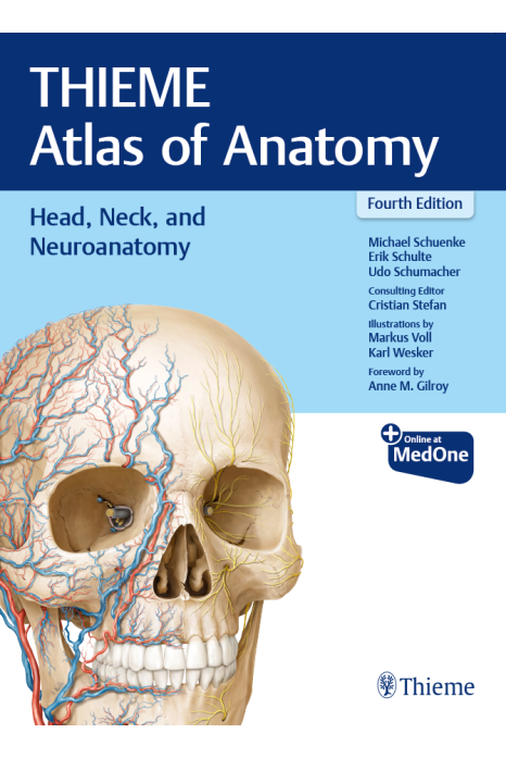 Thieme Atlas of Anatomy: Head, Neck, and Neuroanatomy 4th/2025
